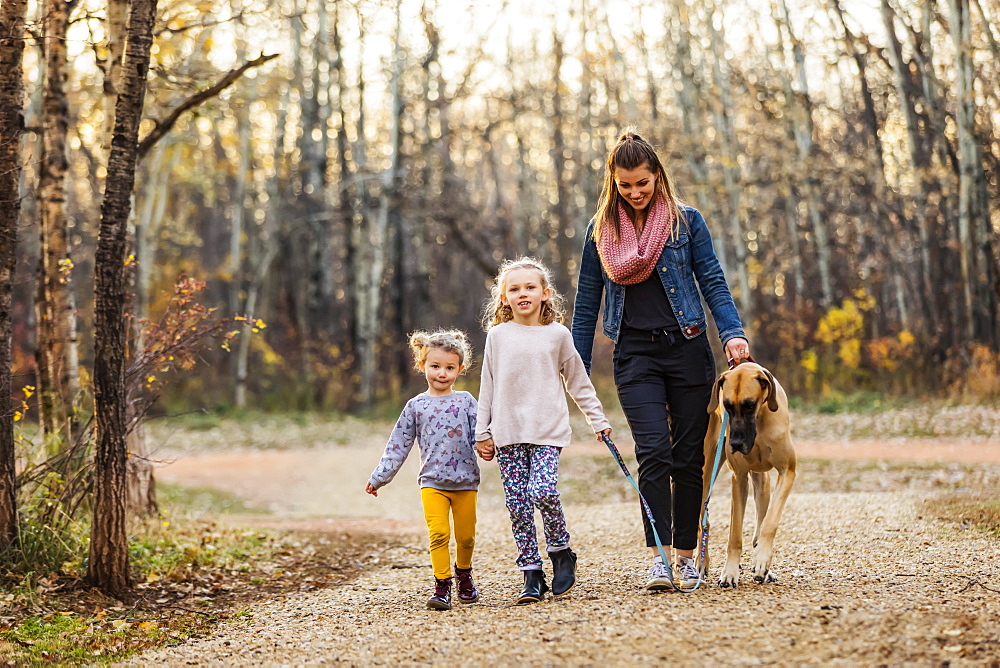 A young mom and her daughters walking their Great Dane in a park on a warm autumn evening, Edmonton, Alberta, Canada