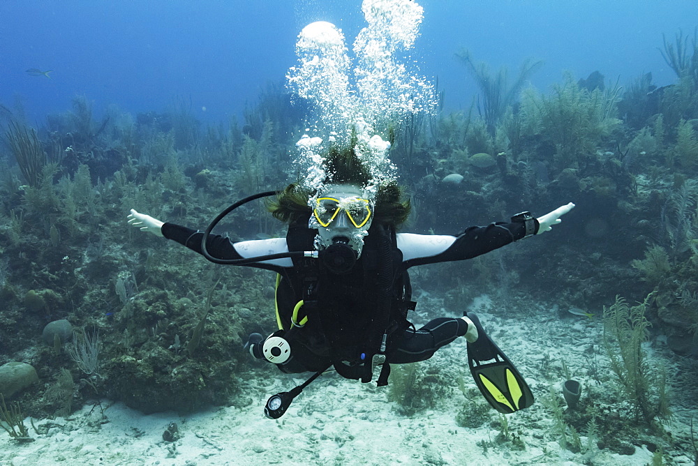 Scuba diver at Three Amigos Dive Site, Belize Barrier Reef, Belize