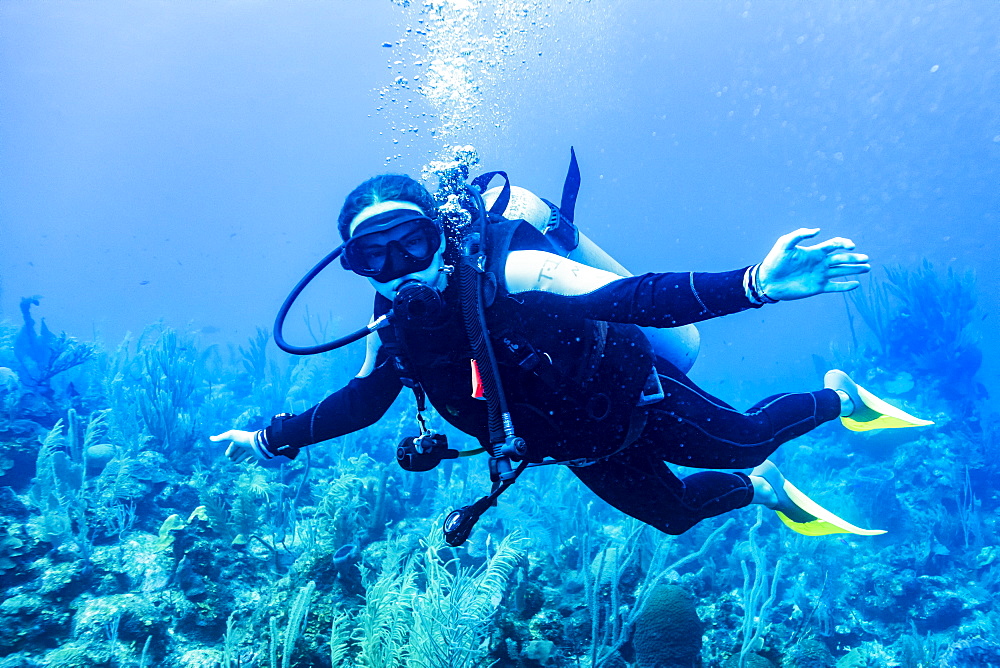 Scuba diver in the East Wall dive site, Belize Barrier Reef, Belize