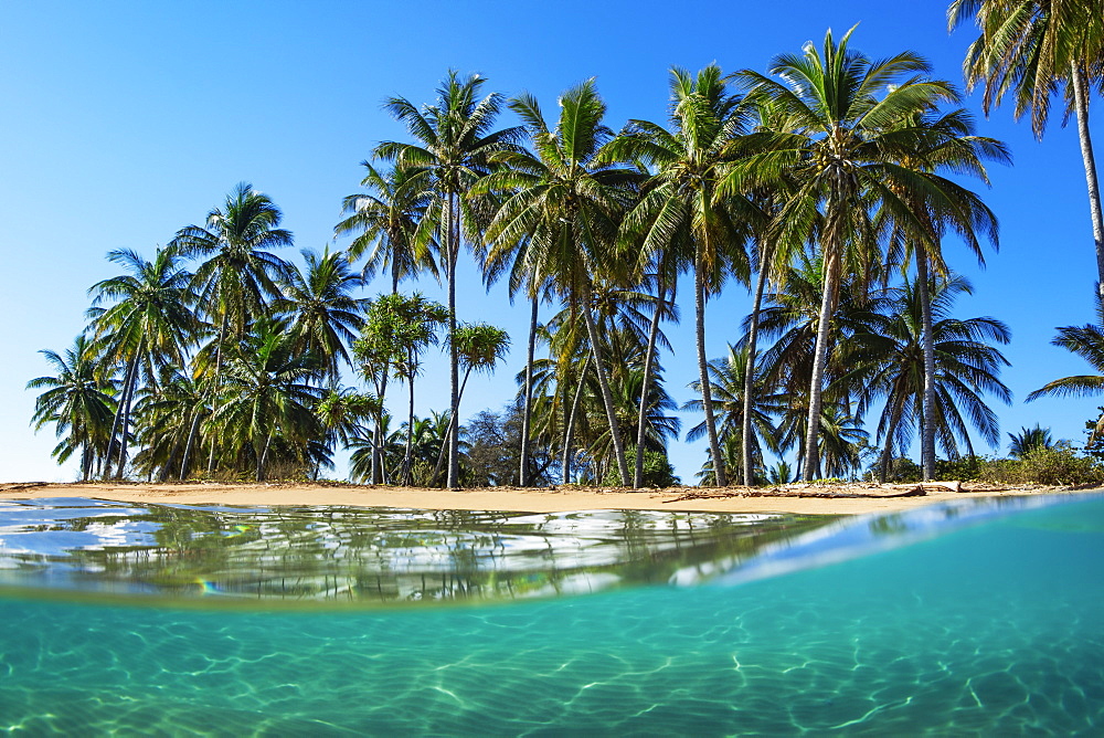 Split view with beach and palm trees, Lanai, Hawaii, United States of America