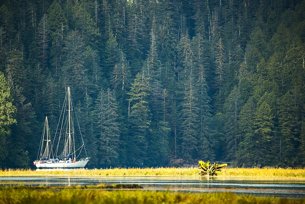 Sailboat in an estuary, Great Bear Rainforest, Hartley Bay, British Columbia, Canada