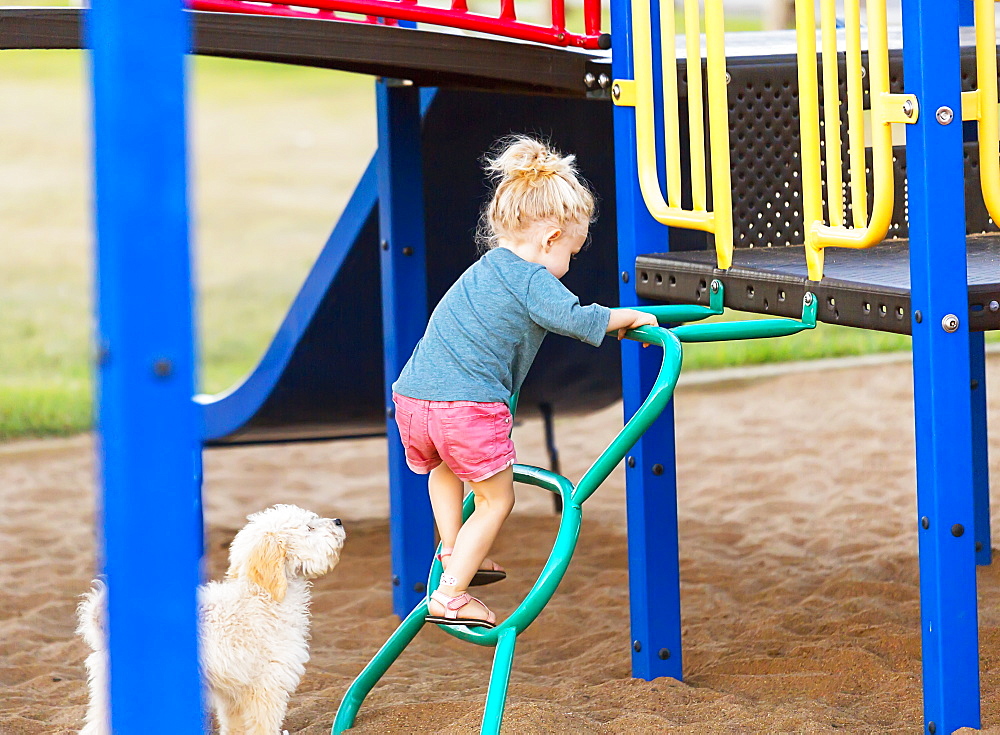 A young girl playing in a playground on a warm fall day with her pet dog by her side, Spruce Grove, Alberta, Canada