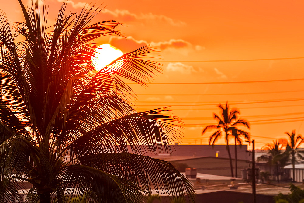 The setting sun viewed through a coconut palm tree from a hotel balcony, Kailua-Kona, Island of Hawaii, Hawaii, United States of America