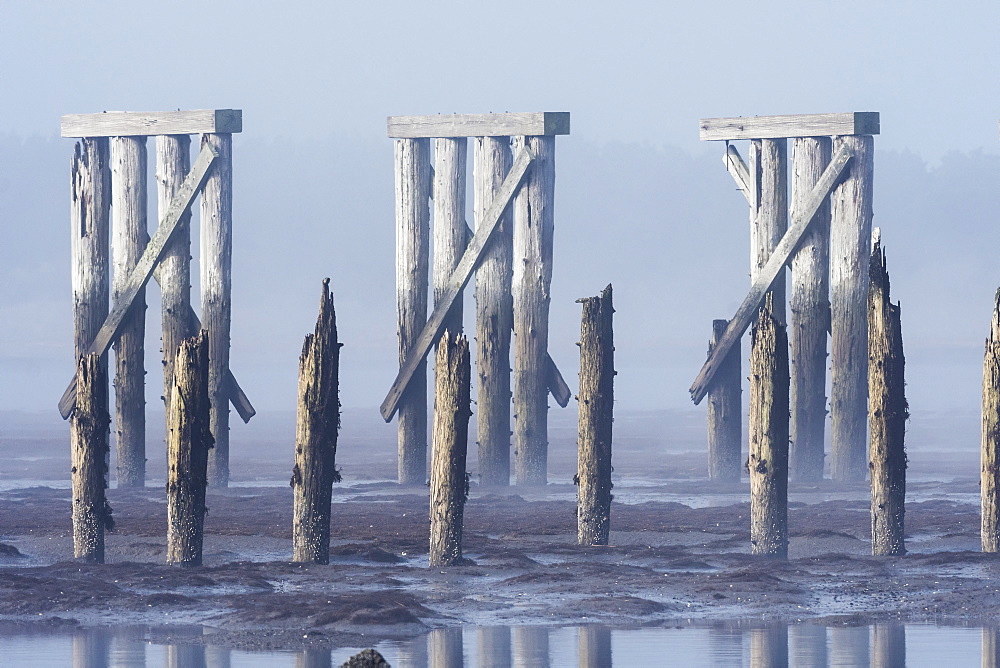 Pilings and a railroad trestle remain at Trestle Bay, Hammond, Oregon, United States of America