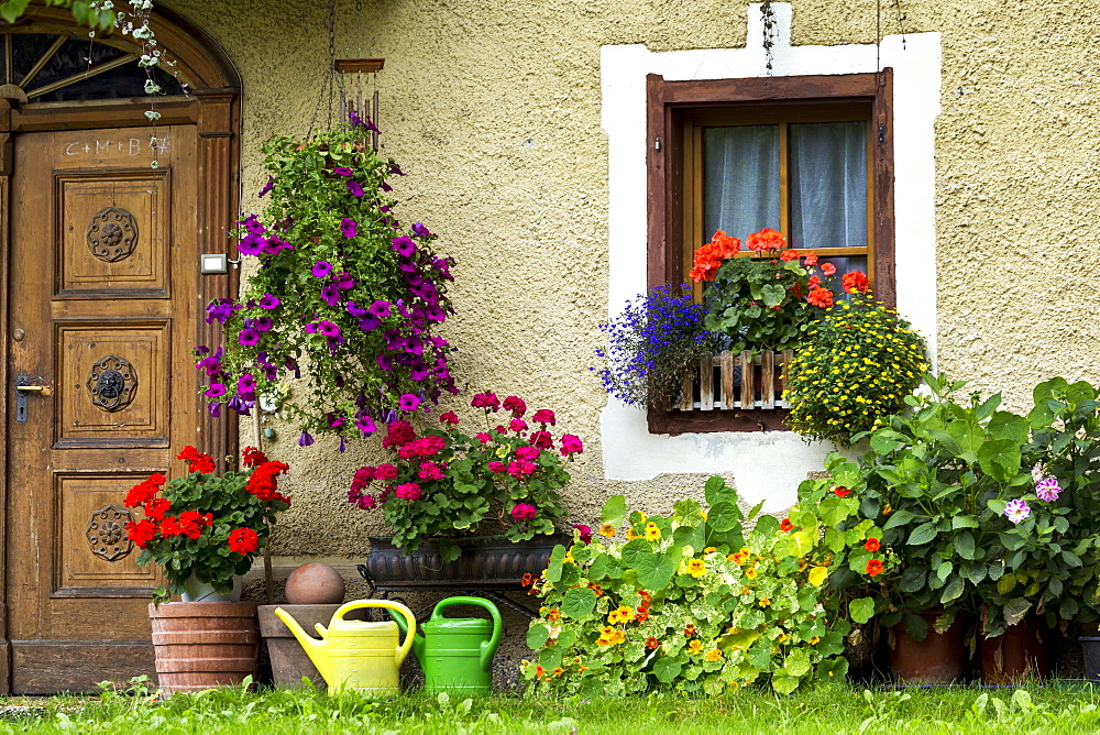 House with colourful flowers blooming and a wooden front door, Dobbiaco, Bolzano, Italy