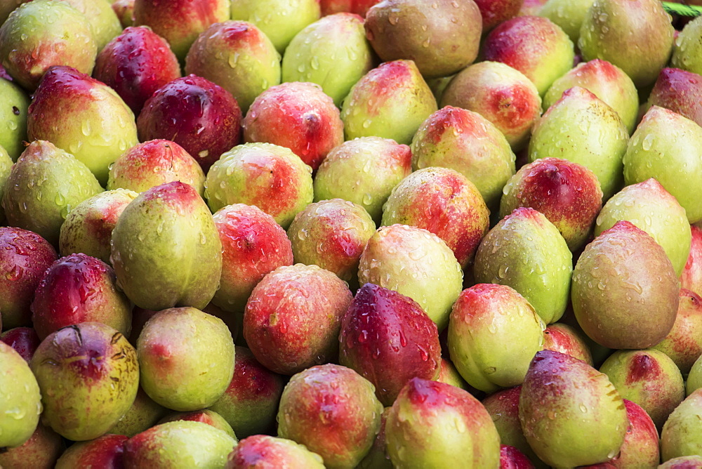 Abundance of Mangoes wet with water droplets for sale in the Old Quarter, Hanoi, Hanoi, Vietnam