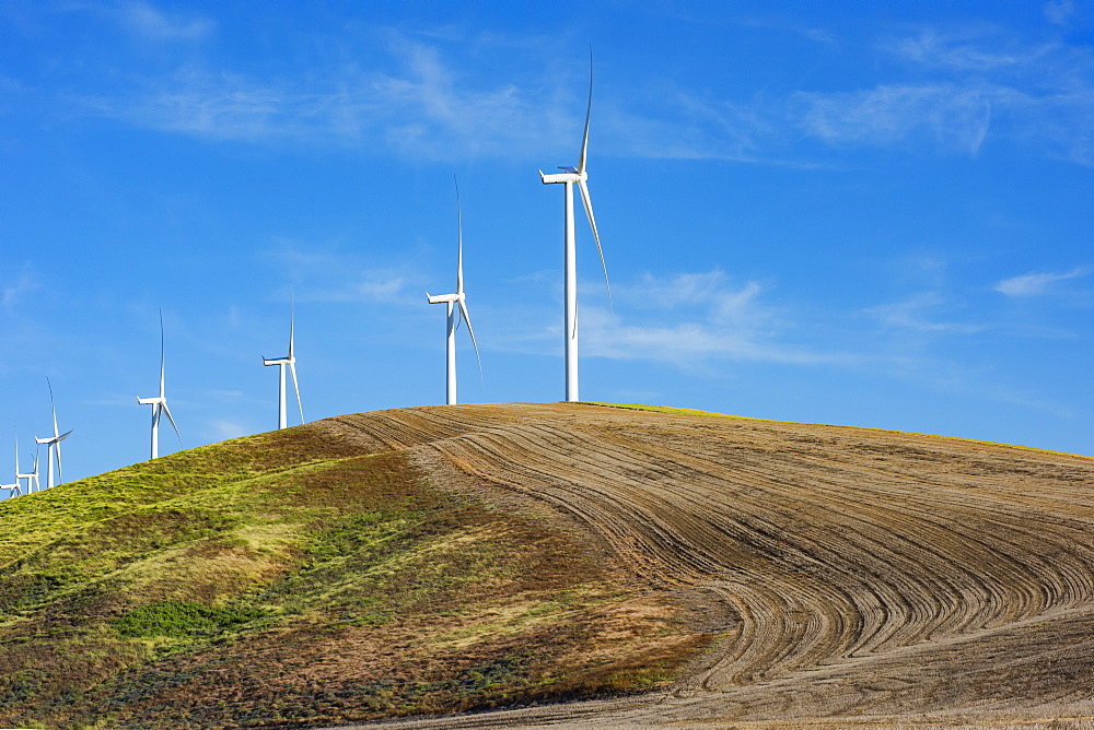 Wind farm wind turbines on a farmer's ploughed field combining green energy with agriculture, Eastern Washington, Dayton, Washington, United States of America