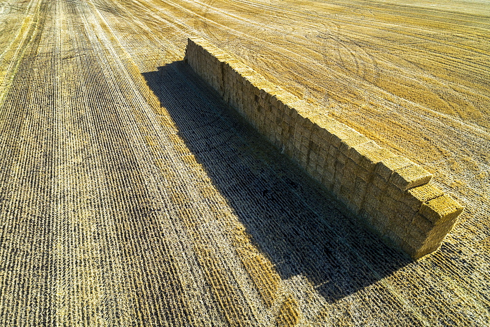 Aerial view of stacked square hay bales in a cut field with long shadows, Alberta, Canada