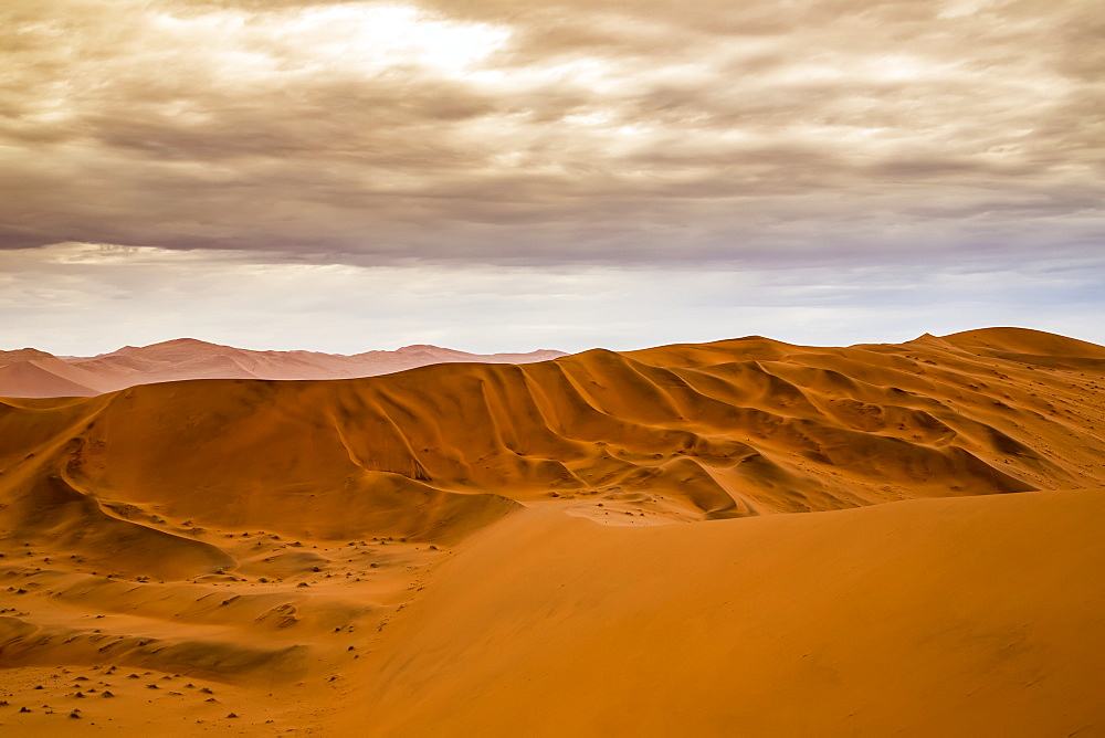 Red sand dunes in the Namib desert under a cloudy sky, Namib-Naukluft National Park, Sossusvlei, Hardap Region, Namibia