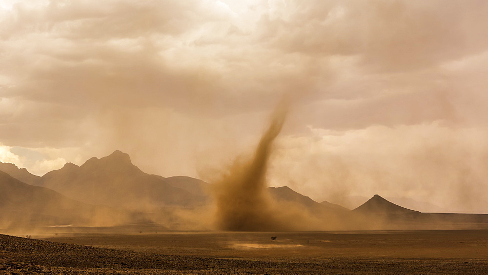 A dust devil in the desert, Sossusvlei, Hardap Region, Namibia