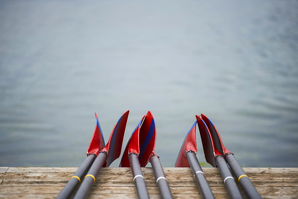 Rowing blades on the dock, Old Welland Canal, Toronto, Ontario, Canada