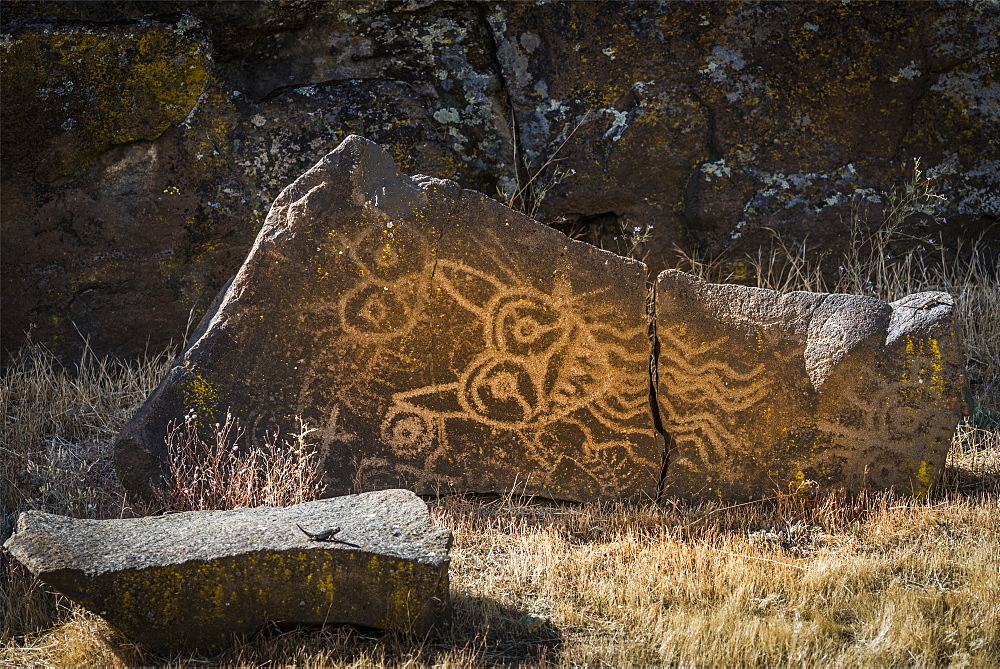 Excellent petroglyphs found at Columbia Hills Historical State Park, Murdock, Washington, United States of America