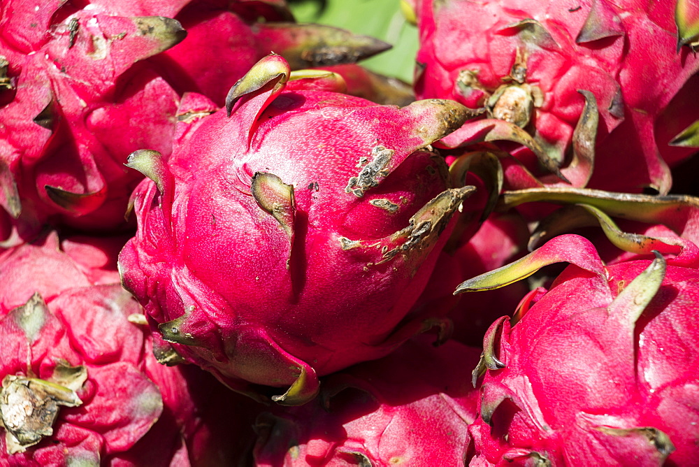 Close-up of Dragon fruit (pitaya) for sale at the Central Market Hall, Phnom Penh, Cambodia