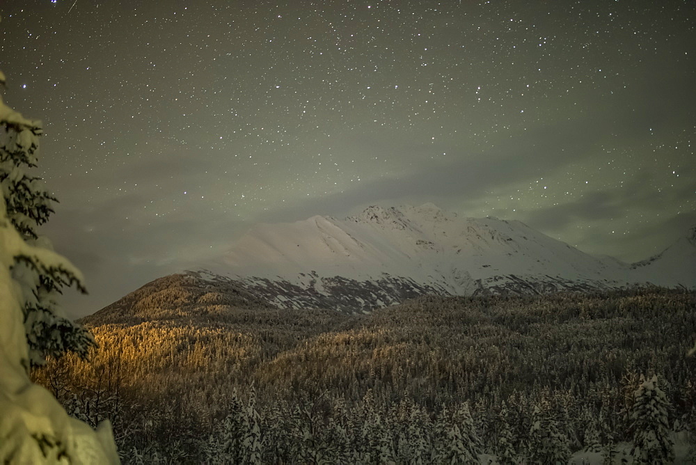 Light pollution illuminates a spruce forest on a mountainside on a starry night with snow covering the mountain ridge in the distance, Kenai Peninsula, South-central Alaska, Moose Pass, Alaska, United States of America