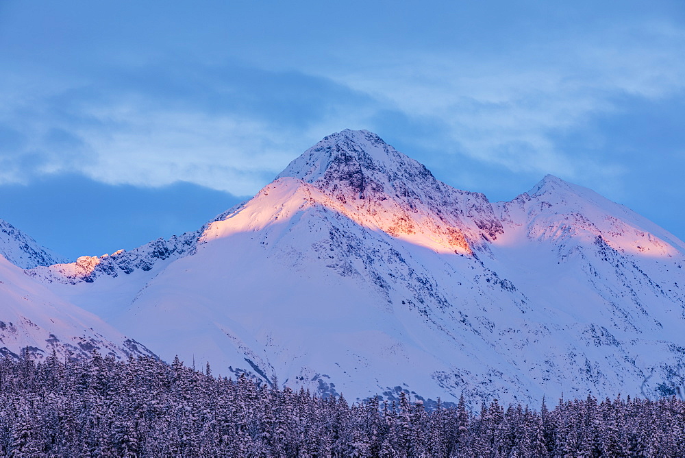 Deep snow covers a forest of spruce trees and warm sunset light illuminating a snowy mountain in the background, Kenai Peninsula, South-central Alaska, Moose Pass, Alaska, United States of America