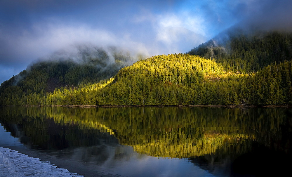 Landscape of the forested coastline and tranquil ocean reflecting the trees and clouds, Hartley Bay, British Columbia, Canada