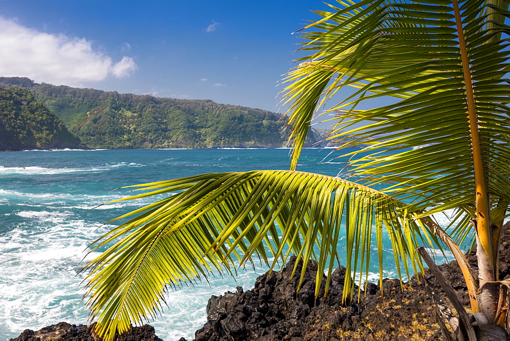 Maui's lush East side cliffs along the road to Hana, Keanae, Maui, Hawaii, United States of America