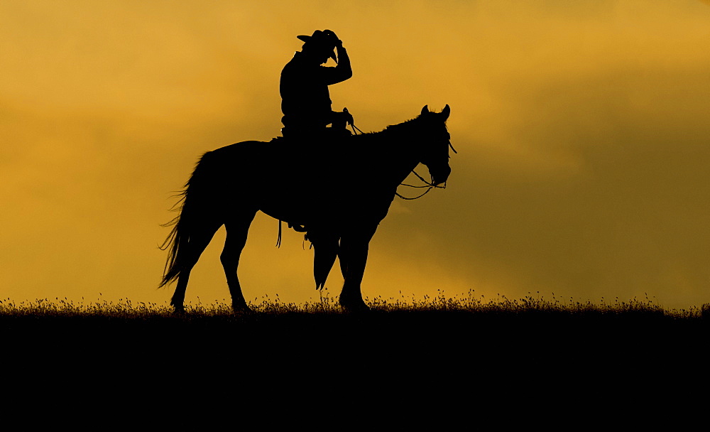 Silhouette of a cowboy on a horse against a sky of golden cloud at sunset, Montana, United States of America