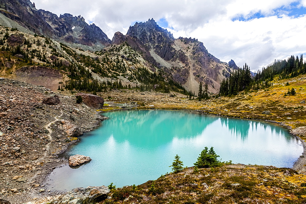 Upper Royal Basin with The Needles and Mt. Clark in the background, Olympic Mountains, Olympic National Park, Washington, United States of America