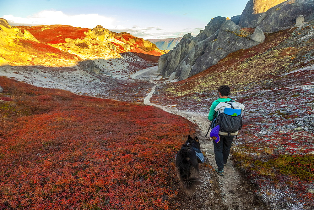 Female backpacker, backpacking with her dog on the Kesugi Ridge Trail in autumn, Denali State Park, Alaska, United States of America