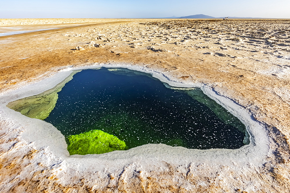 Pool of brine in the Salt flats of Lake Karum (Lake Assale), Danakil Depression, Afar Region, Ethiopia