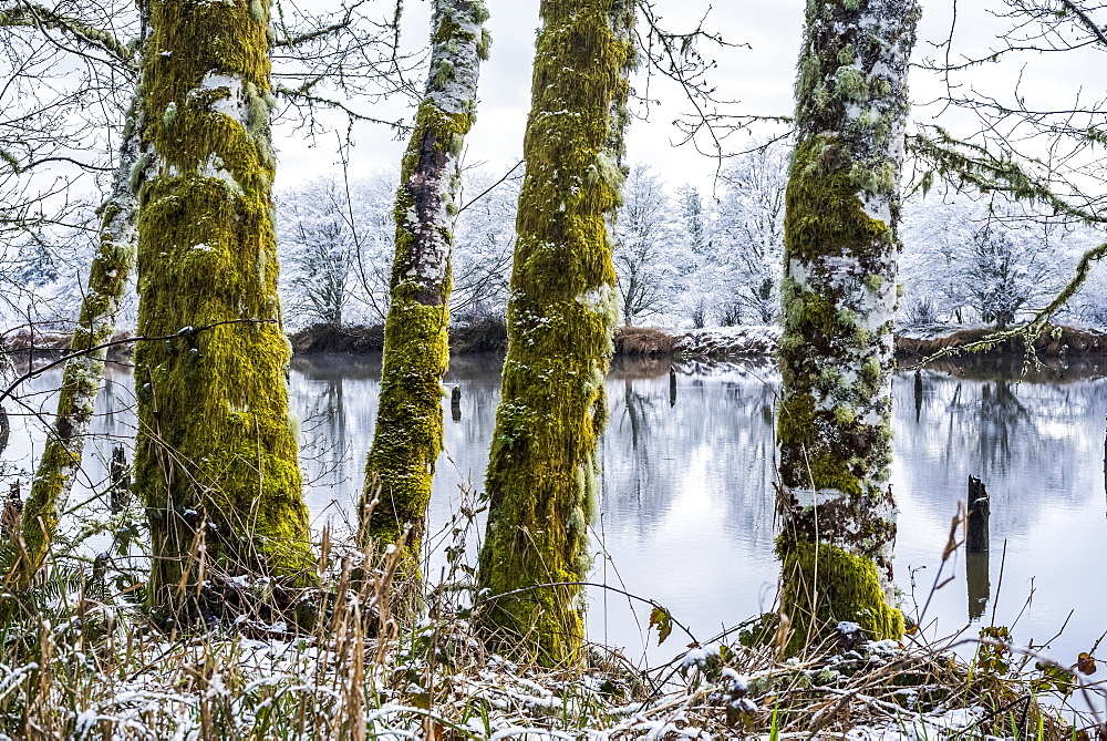 A dusting of snow falls at Lewis and Clark National Historical Park, Astoria, Oregon, United States of America