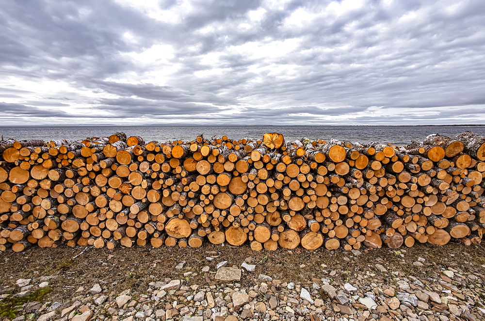 Piled fire logs, near St Anthony, Newfoundland and Labrador, Canada