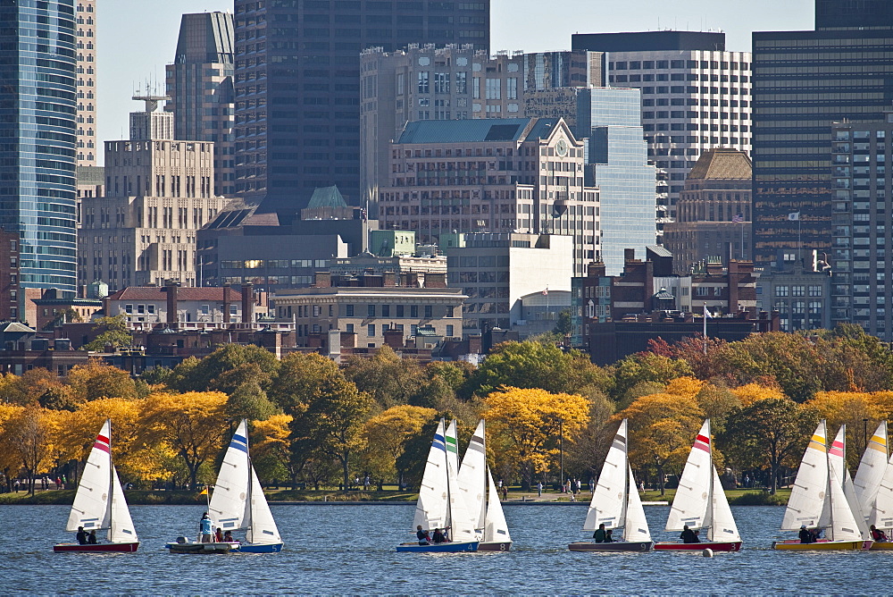 Sailboats in the river with skyscraper in the background, Charles River, Back Bay, Boston, Suffolk County, Massachusetts, USA