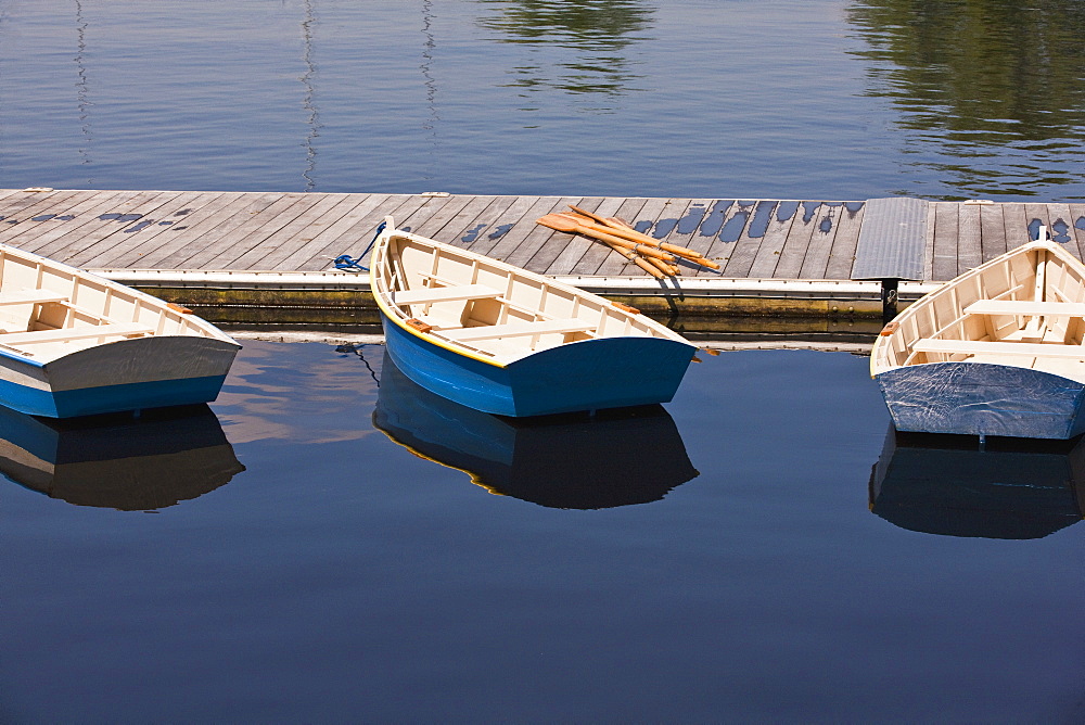 Row boats in the river, Charles River, Boston, Suffolk County, Massachusetts, USA