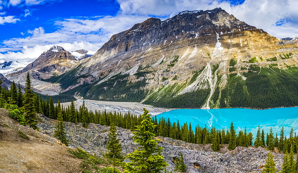 Bright blue water of Peyto Lake in the Rocky Mountains of Banff National Park along the Icefield Parkway; Improvement District No. 9, Alberta, Canada