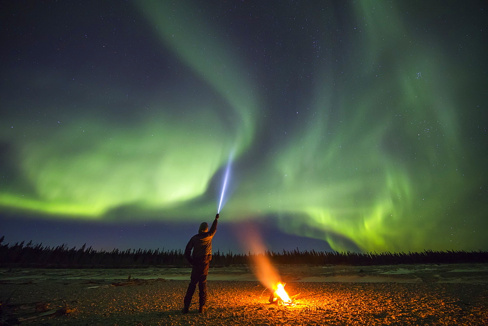 An observer watching the aurora borealis points his flashlight into the sky beside a campfire on Jarvis Creek in Delta Junction; Alaska, United States of America