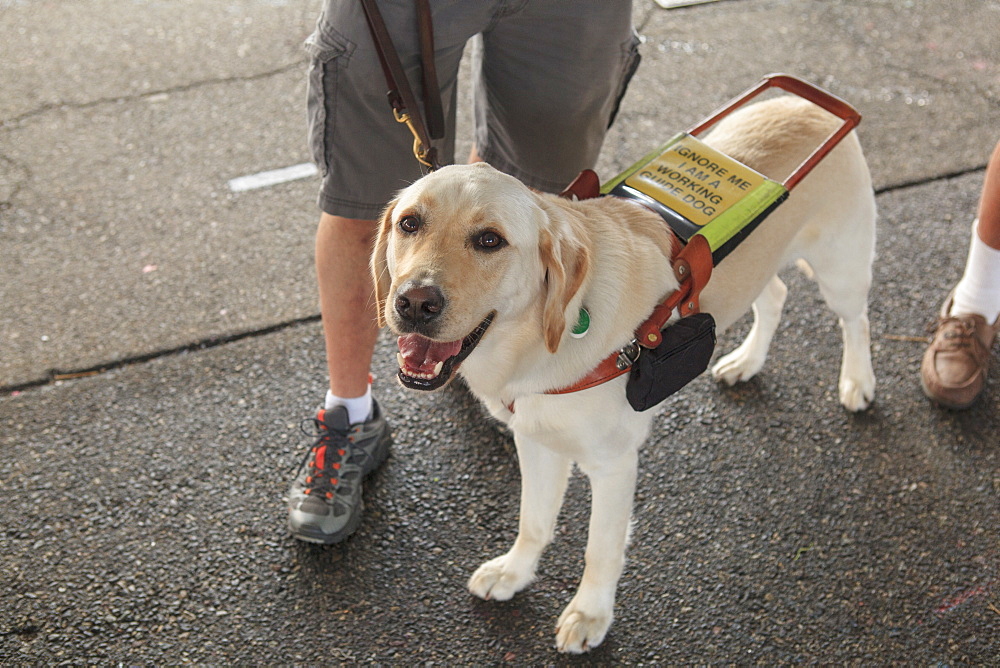 Man with Visual Impairment and his service dog