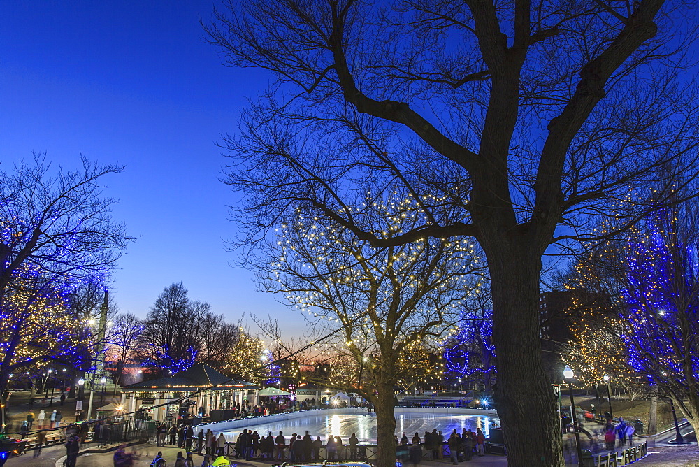 Frog Pond in Boston Common with holiday lighting, Boston, Massachusetts, USA