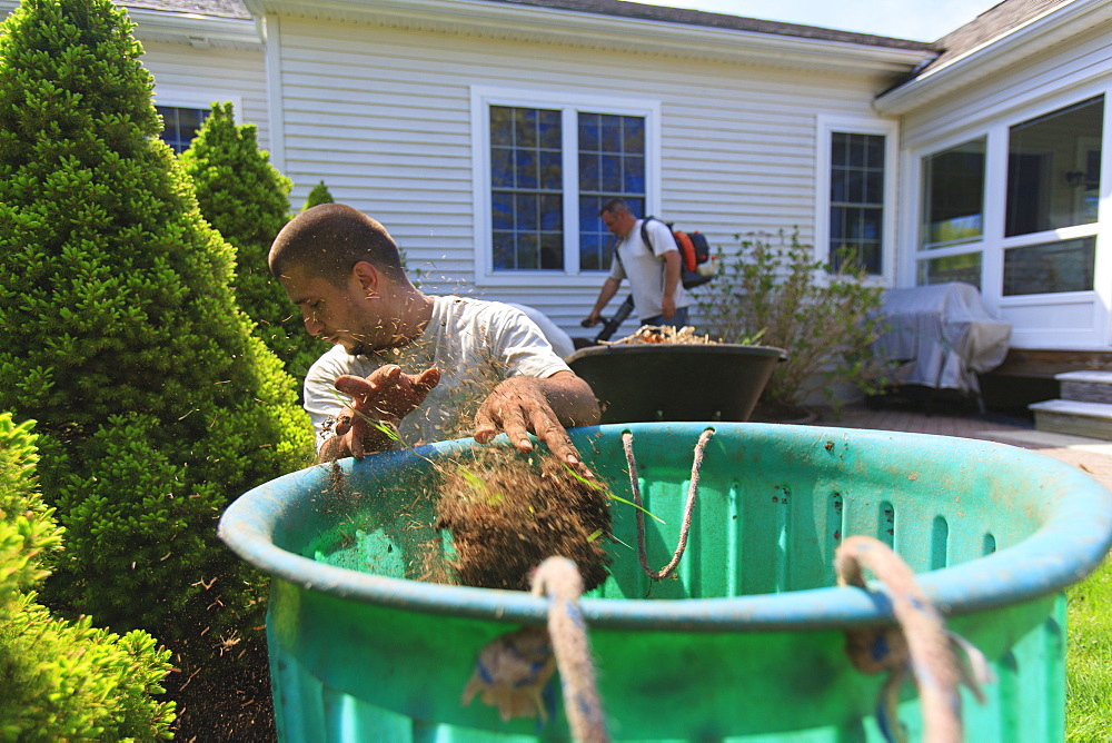 Landscapers clearing weeds into a bin at a home garden and using a blower for cleaning