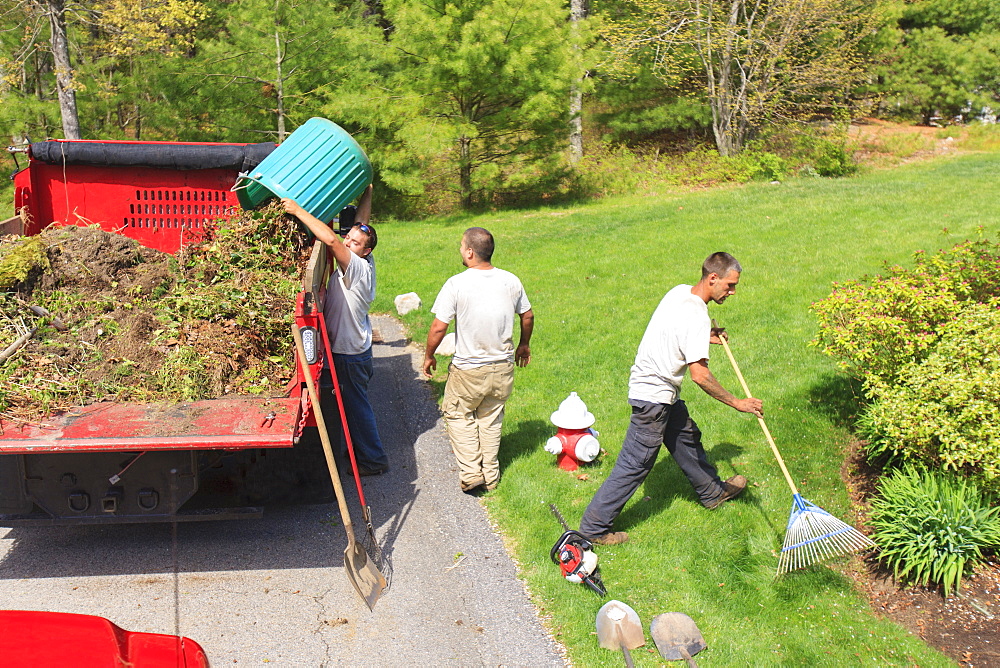 Landscapers clearing weeds and emptying them into a truck