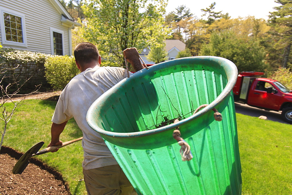 Landscaper removing weeds in a bin to his truck