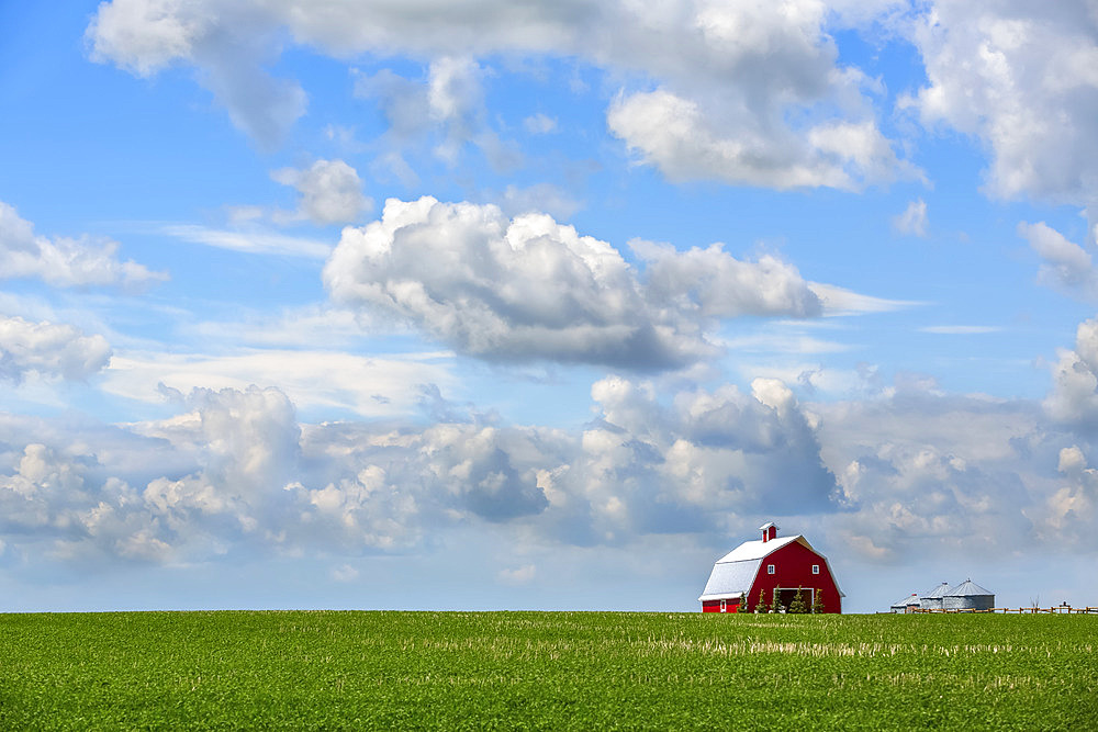 A red barn sits on a green field of farmland under a big blue sky with cloud; Alberta, Canada