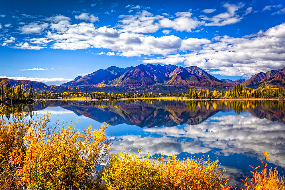 Mountain range reflects on Mentasta Lake with fall coloured foliage under blue sky, Tok cutoff from the Glenn Highway, South-central Alaska in autumn; Alaska, United States of America