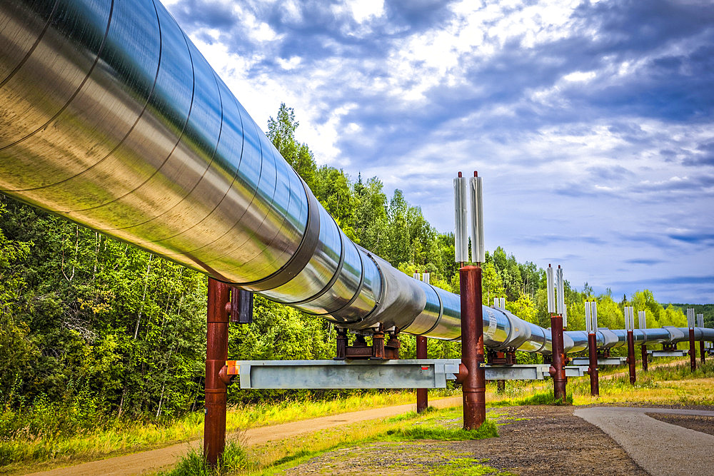 Trans-Alaska Pipeline, Interior Alaska in summertime; Fairbanks, Alaska, United States of America