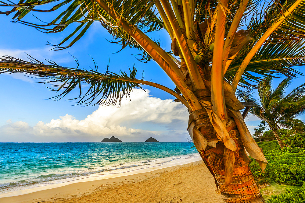 The golden sand and surf on Lanikai Beach with a view of the Mokulua Islands off the coast; Oahu, Hawaii, United States of America