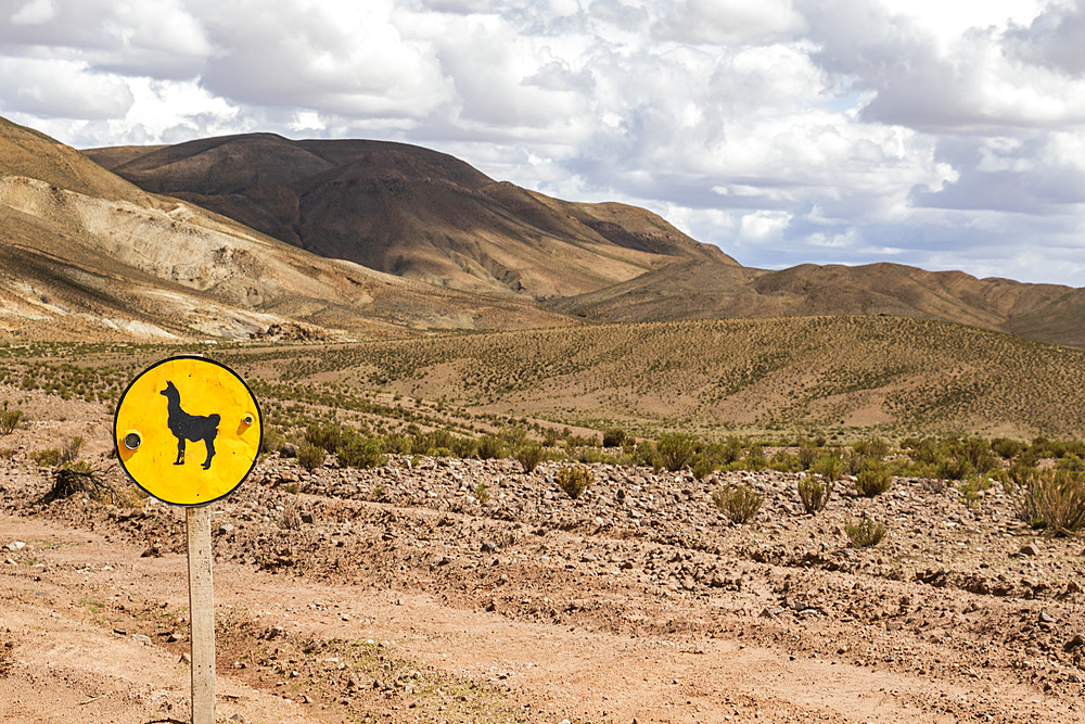 Llama crossing sign on Carretera 701; Nor Lipez Province, Potosi Department, Bolivia