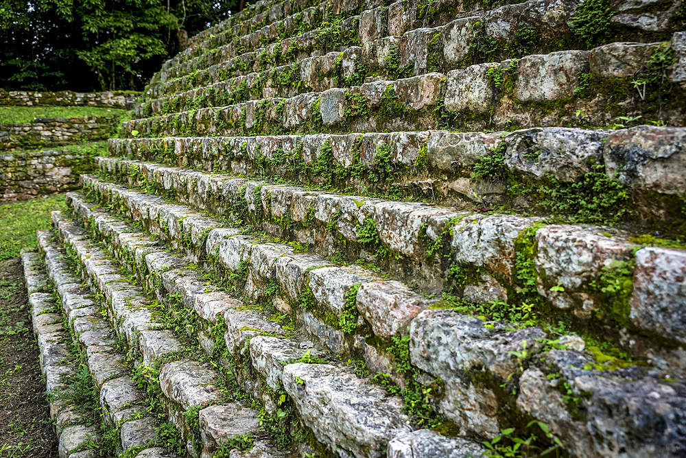 Green foliage growing on the stone steps in the ancient Maya city of Bonampak; Usumacinta Province, Chiapas, Mexico