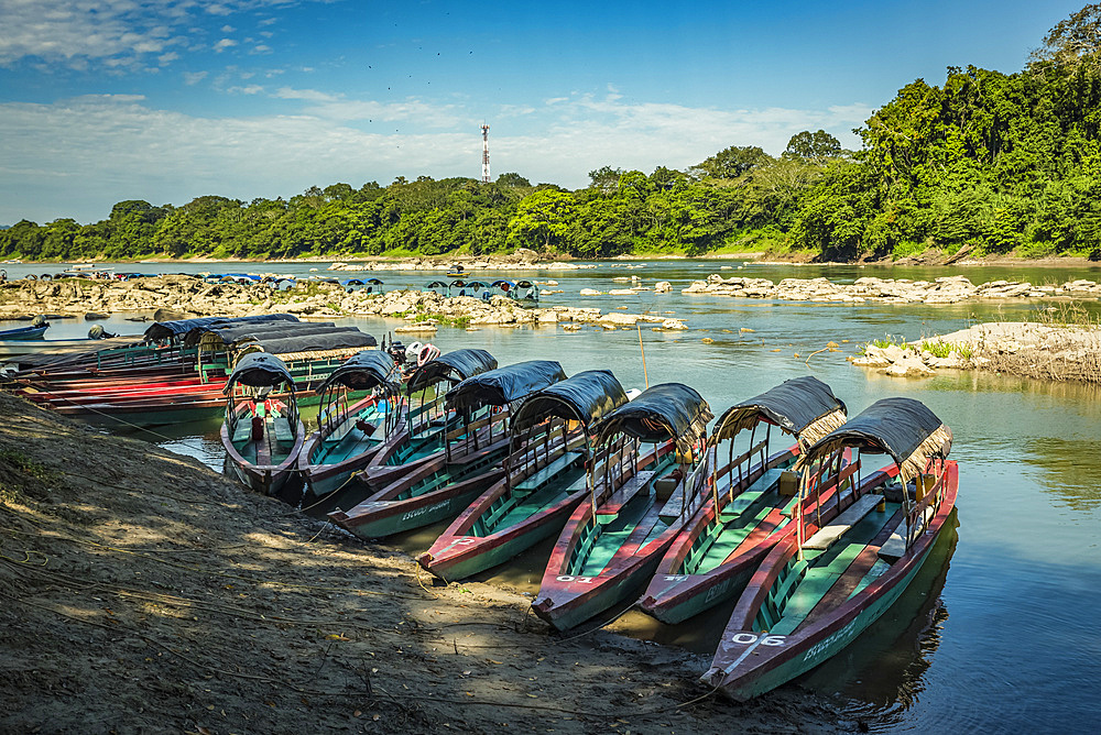 Tour boats to Yaxchilan lined up along the shore; Usumacinta Province, Chiapas, Mexico