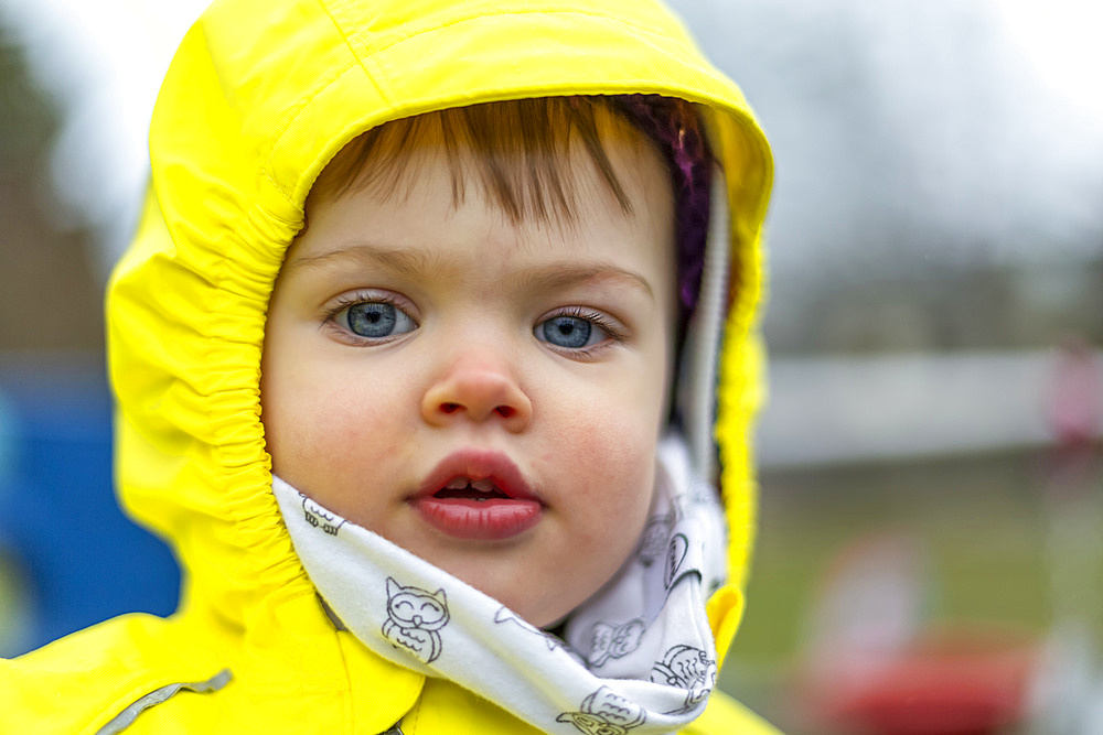 Cute toddler girl with blue eyes wearing bright yellow raincoat; North Vancouver, British Columbia, Canada