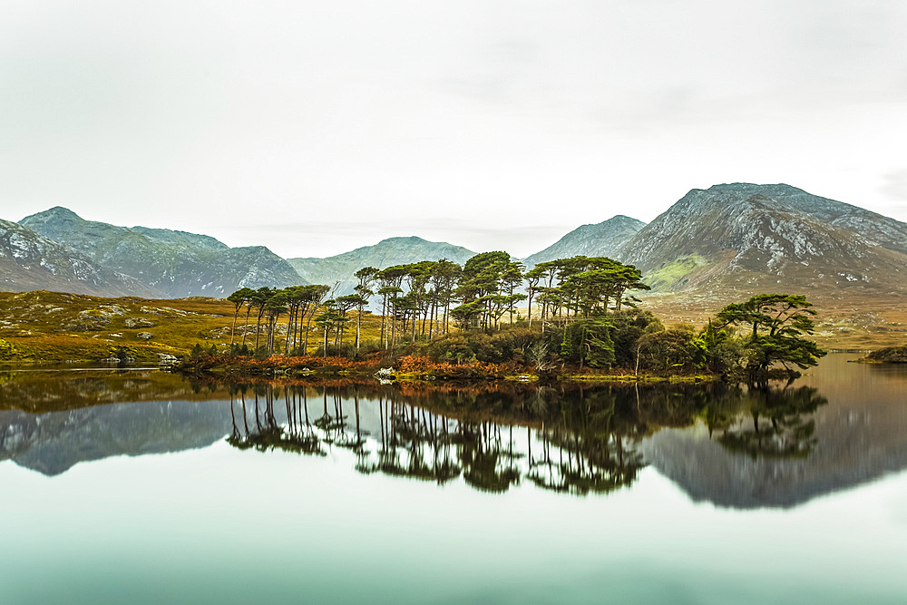 Pine Island on Derryclare lake with the Connemara mountains in the background and with perfect reflections in the water; Connemara, County Galway, Ireland