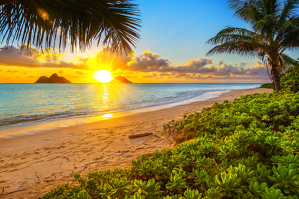 Lanakai Beach at sunrise, with the surf washing up on the golden sand and a view of the Mokulua Islands in the distance; Oahu, Hawaii, United States of America