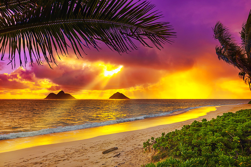 Lanakai Beach at sunrise, with the surf washing up on the golden sand and a view of the Mokulua Islands in the distance; Oahu, Hawaii, United States of America