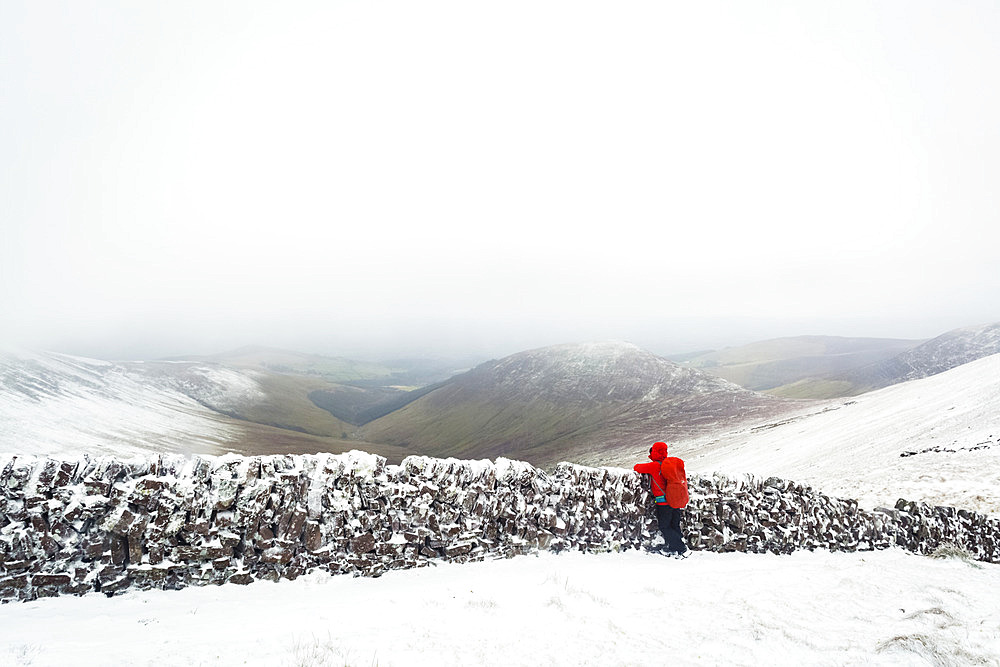 Female hiker looking out over an old stone wall on top of the Galty Mountains in winter in cloudy, foggy weather; County Tipperary, Ireland