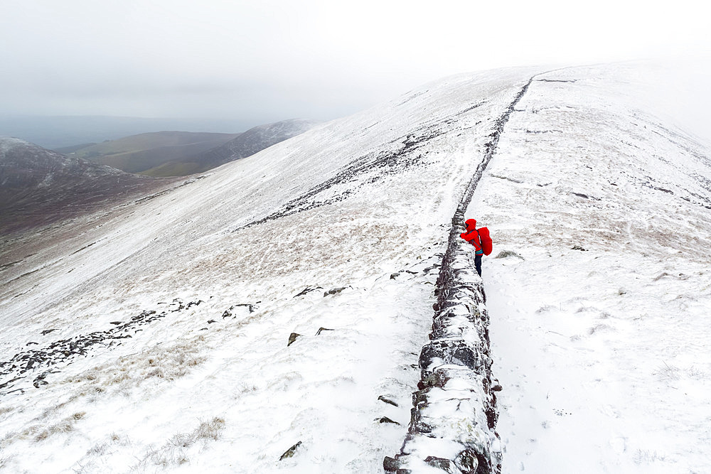 Female hiker looking out over an old stone wall on top of the Galty Mountains in winter in cloudy, foggy weather; County Tipperary, Ireland