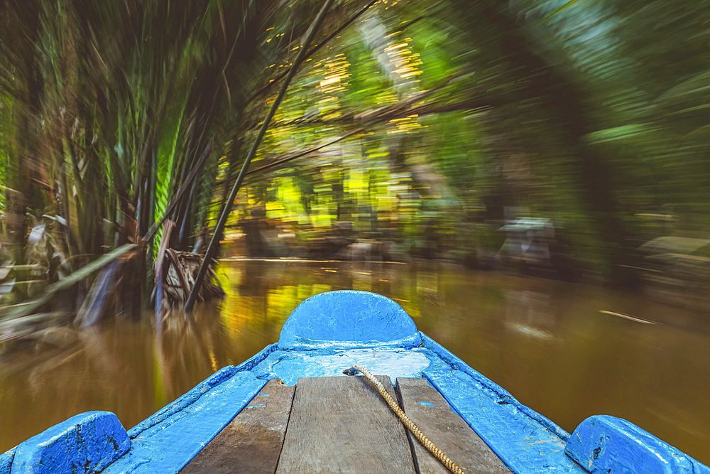 Boat on the Mekong River, Mekong River delta; Vietnam